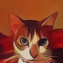 صورة الـavatar