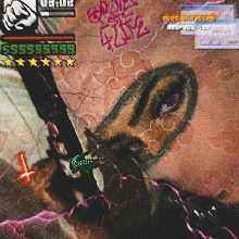 Guest_vulgobiaa