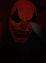 Guest_bjay278694