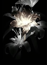 Guest_naughtyfrappe