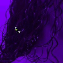 Guest_UNU5