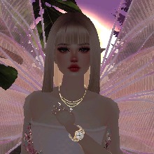Guest_Sugarboom3