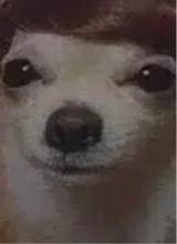 Guest_vgod