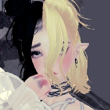 Dasypoda