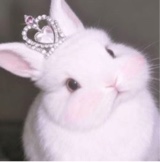 Guest_Mamifloow