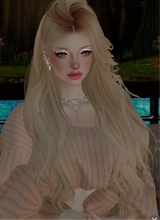 Guest_lily544463