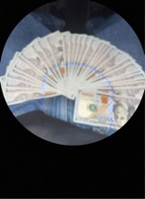 Guest_ervin15