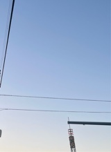 Guest_mya174541