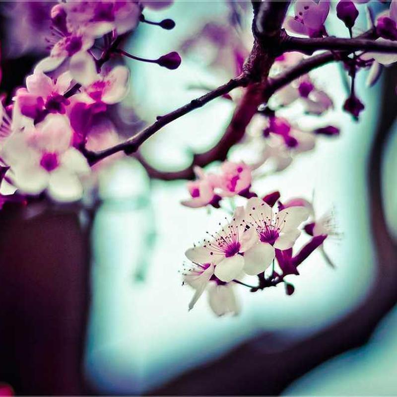Guest_Manu594899