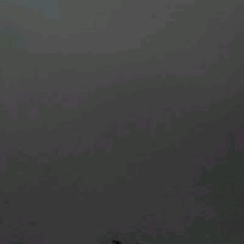 Guest_Allvesx1