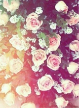 Guest_RiRiDavis