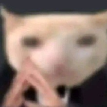 Guest_aboveurleague