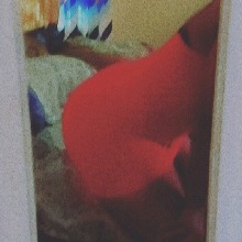 Guest_KaylaJackson14