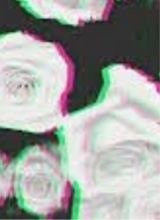 Guest_DragStarJay