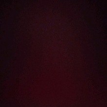 Guest_Katrine99
