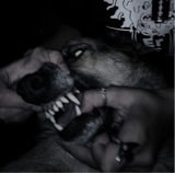 damnsociety