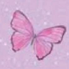 Guest_Larissa836286
