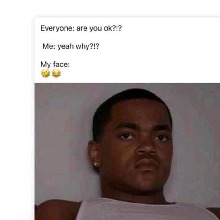 Guest_Lemilio1