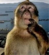 Guest_Jay754011
