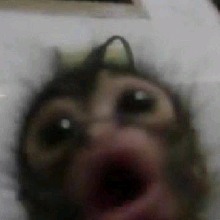 Guest_Nunubabyyyy