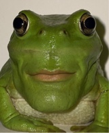 Zxsari