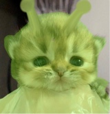Guest_Pumpkitty