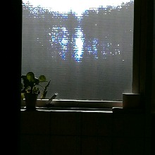 Phosphenia