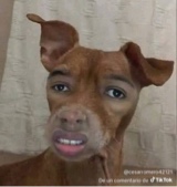 OGdisaster