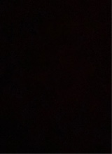immagine avatar