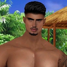 Pitbull01