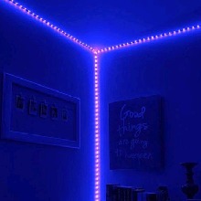 Guest_N0tM33
