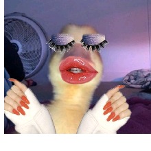 Guest_Jade212