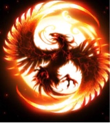 Guest_TJ937778