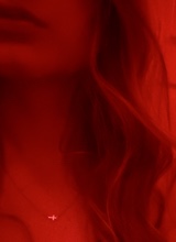 Guest_AmberQuinn2