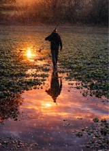 avatarbild