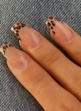 Guest_Ariana2318