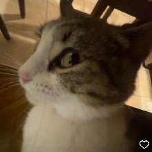Guest_stacy847408