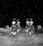 Guest_Z361956