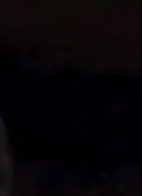 Guest_Trapruntz