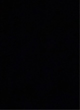 Guest_PrettyboyJay719113