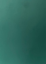 Guest_AlexxVr