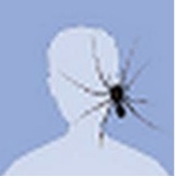 صورة الـavatar