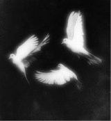 Guest_LanaRey01