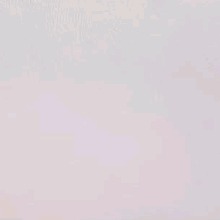 Guest_Jesusmio4520
