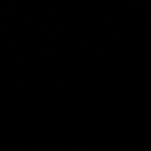 Guest_ShantelShan1