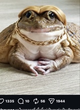 Guest_lilmanzi2