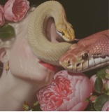 Guest_stcrgrl