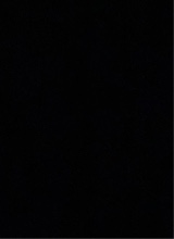 Guest_tyrece16