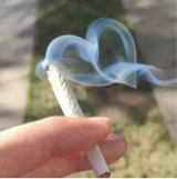 Guest_RHLMAA