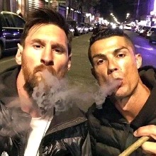Guest_Gustavo192128